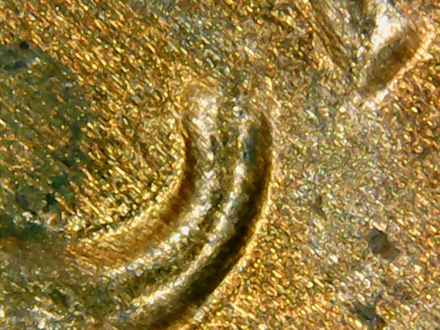 2361745.jpg