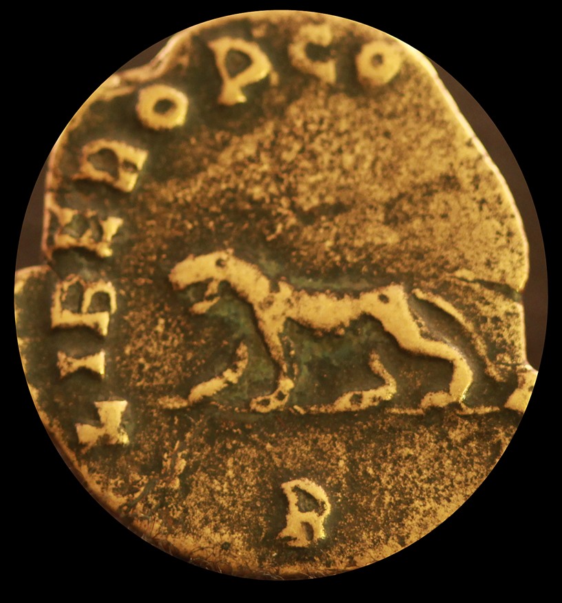 24. Gall leopard.JPG