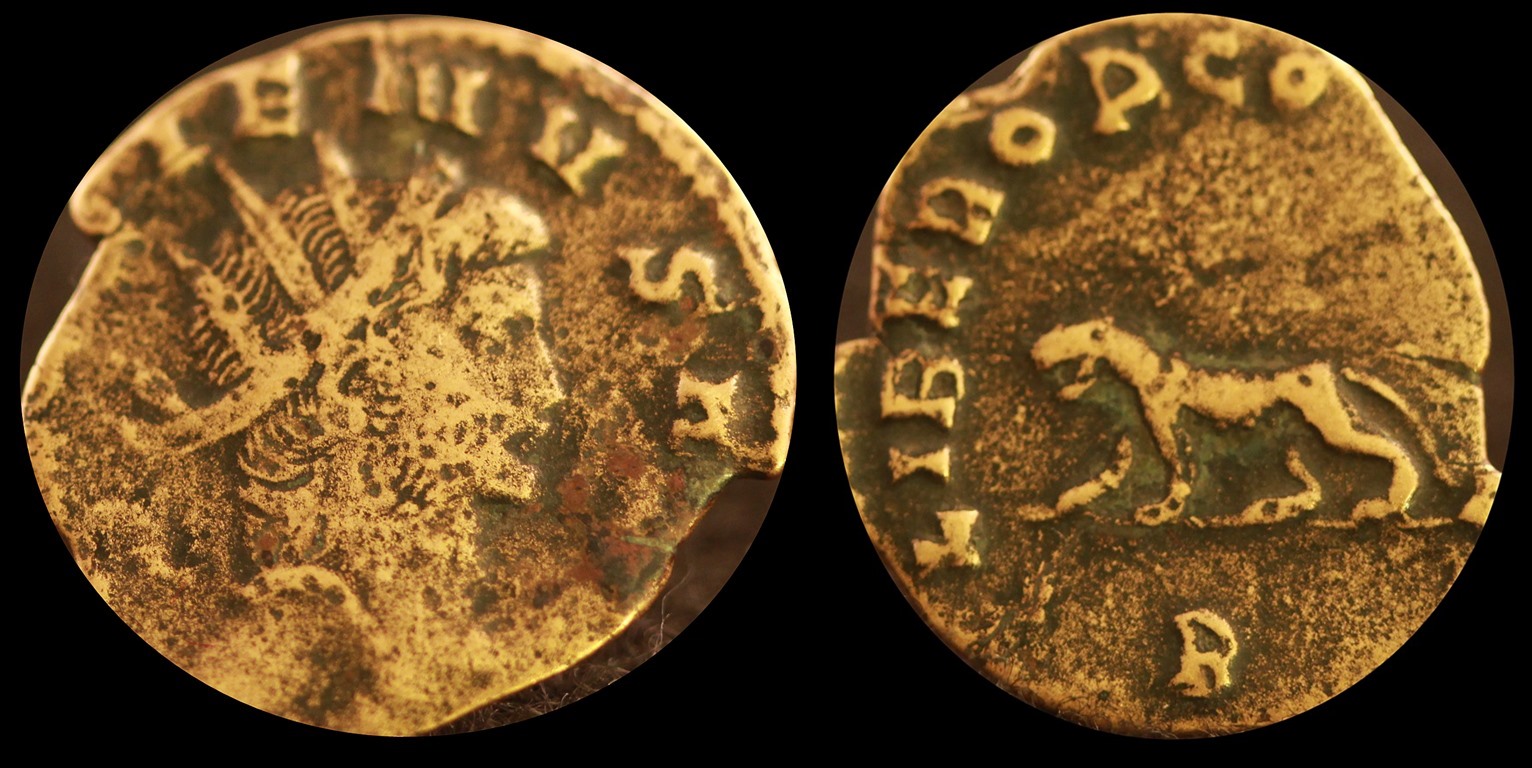 24-Gallienus Panther combo.jpg