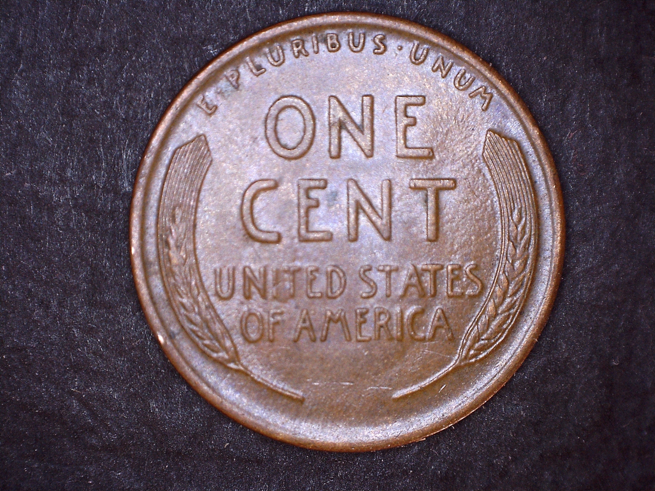 24 r.jpg