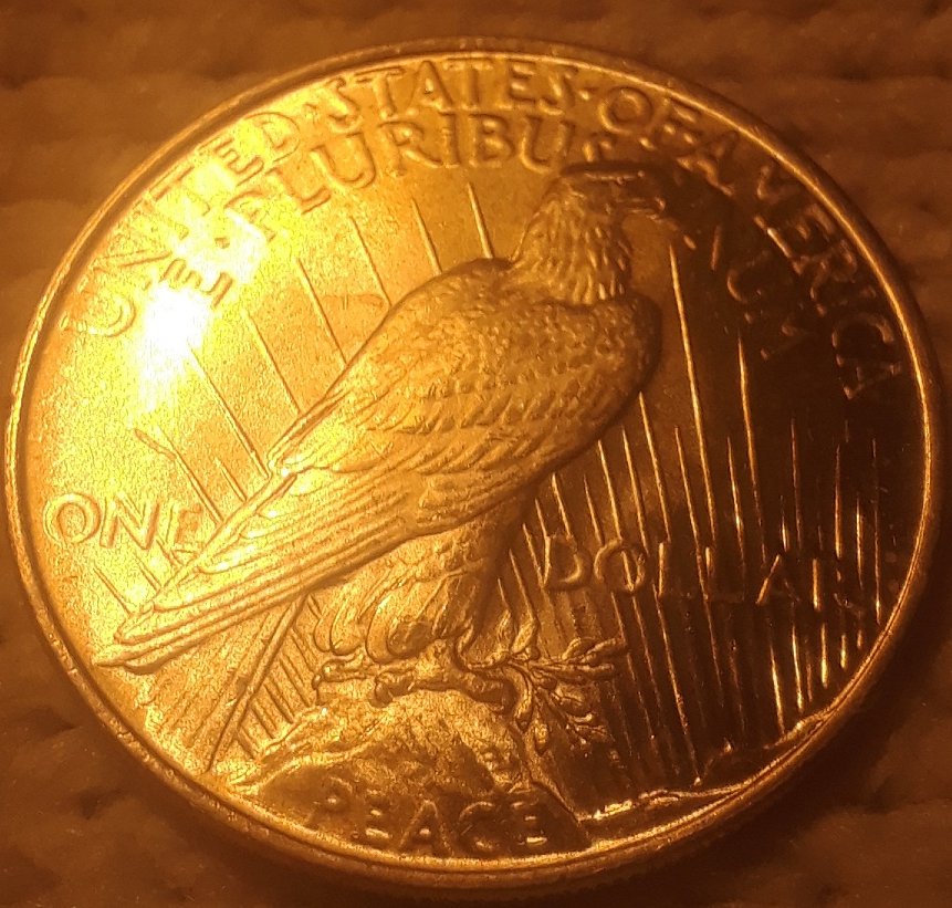 24 reverse.jpg
