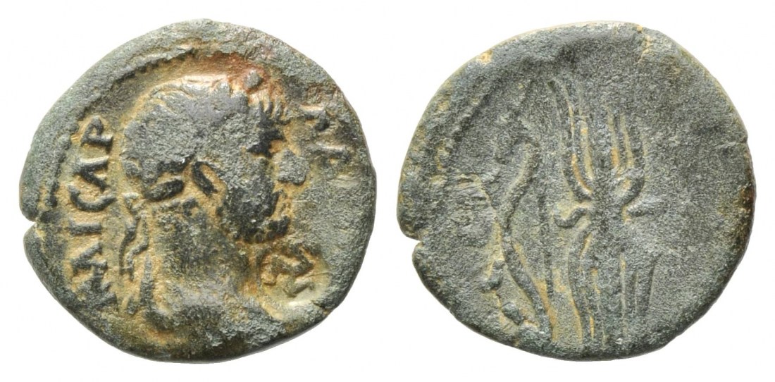 240 P Hadrian .SNG france 2010.jpg
