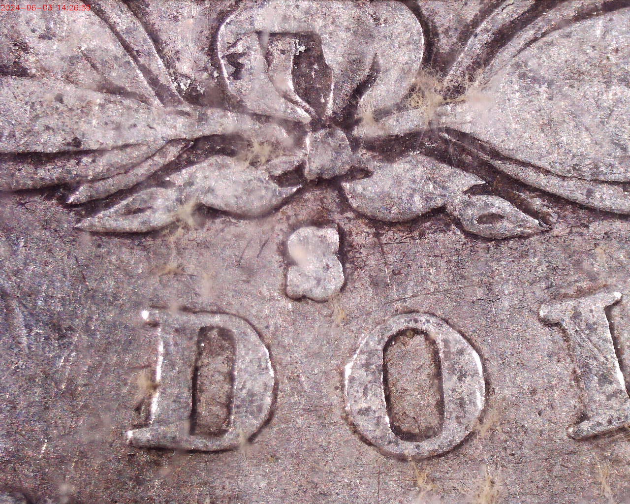 240603142659361.jpg