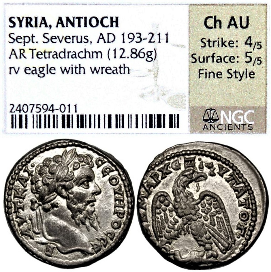 2407594-011, AK Collection.jpg