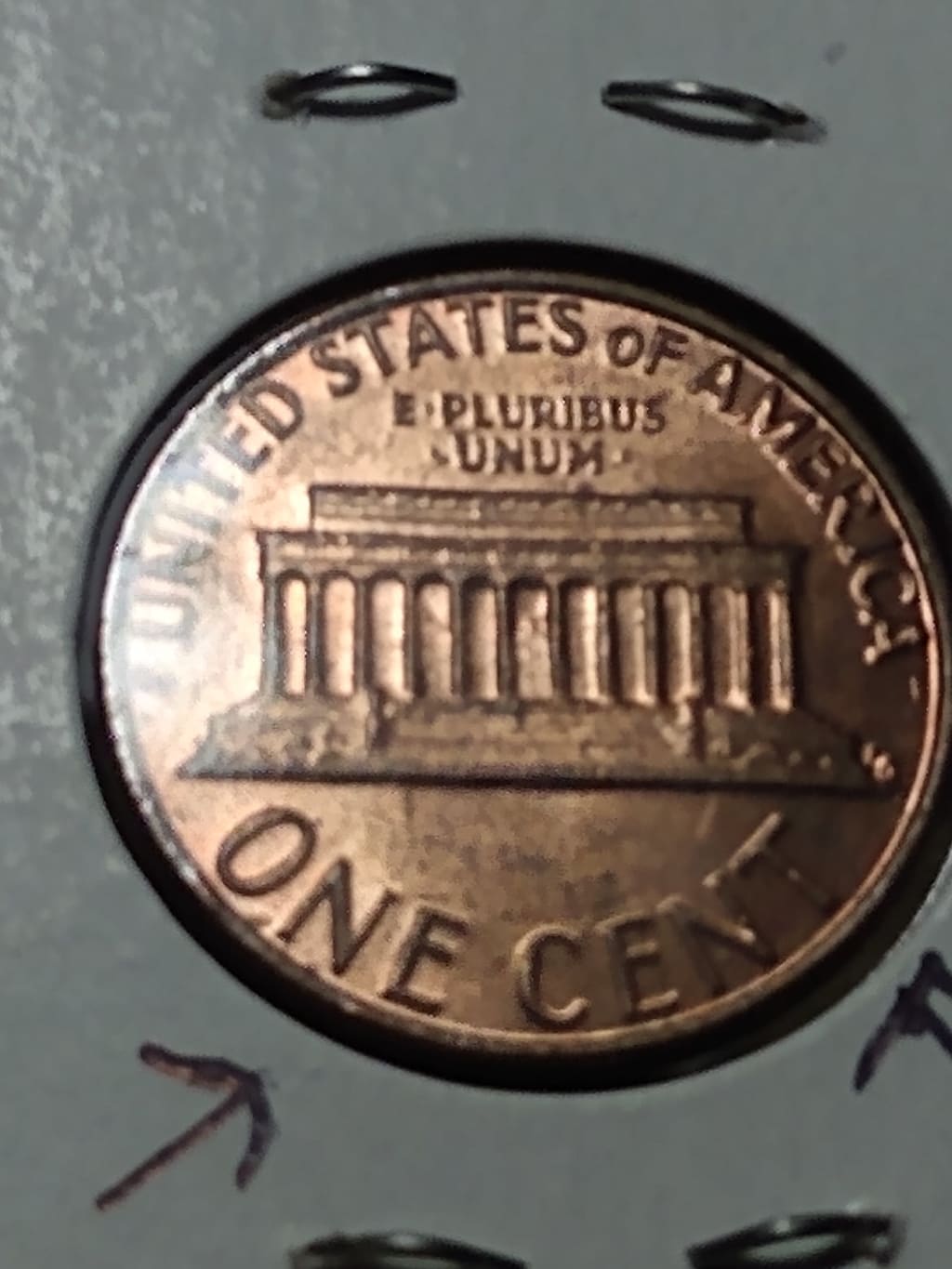 241760498_386009136213111_4423865558296387233_n.jpg