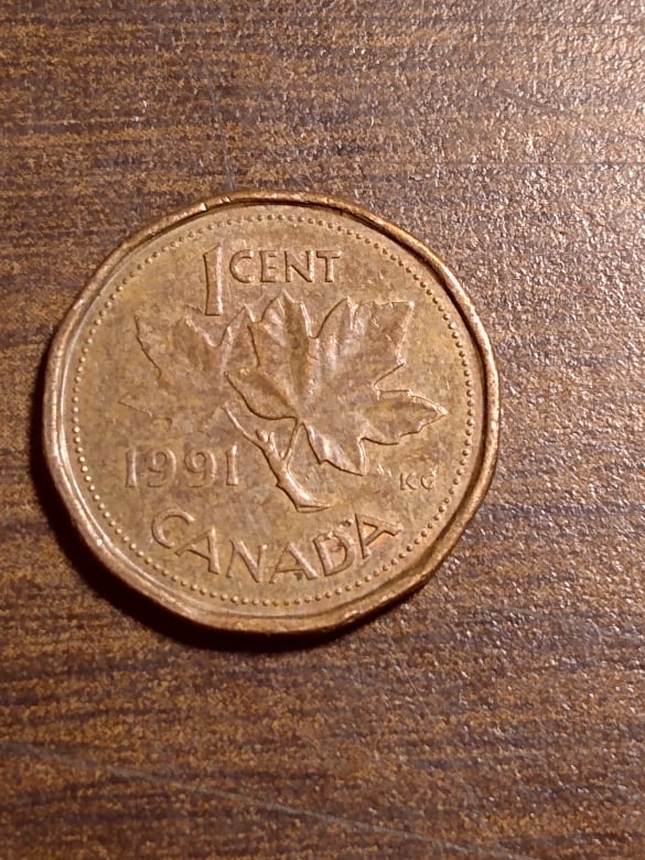 241773737_936151164005389_2259642192221456751_n.jpg