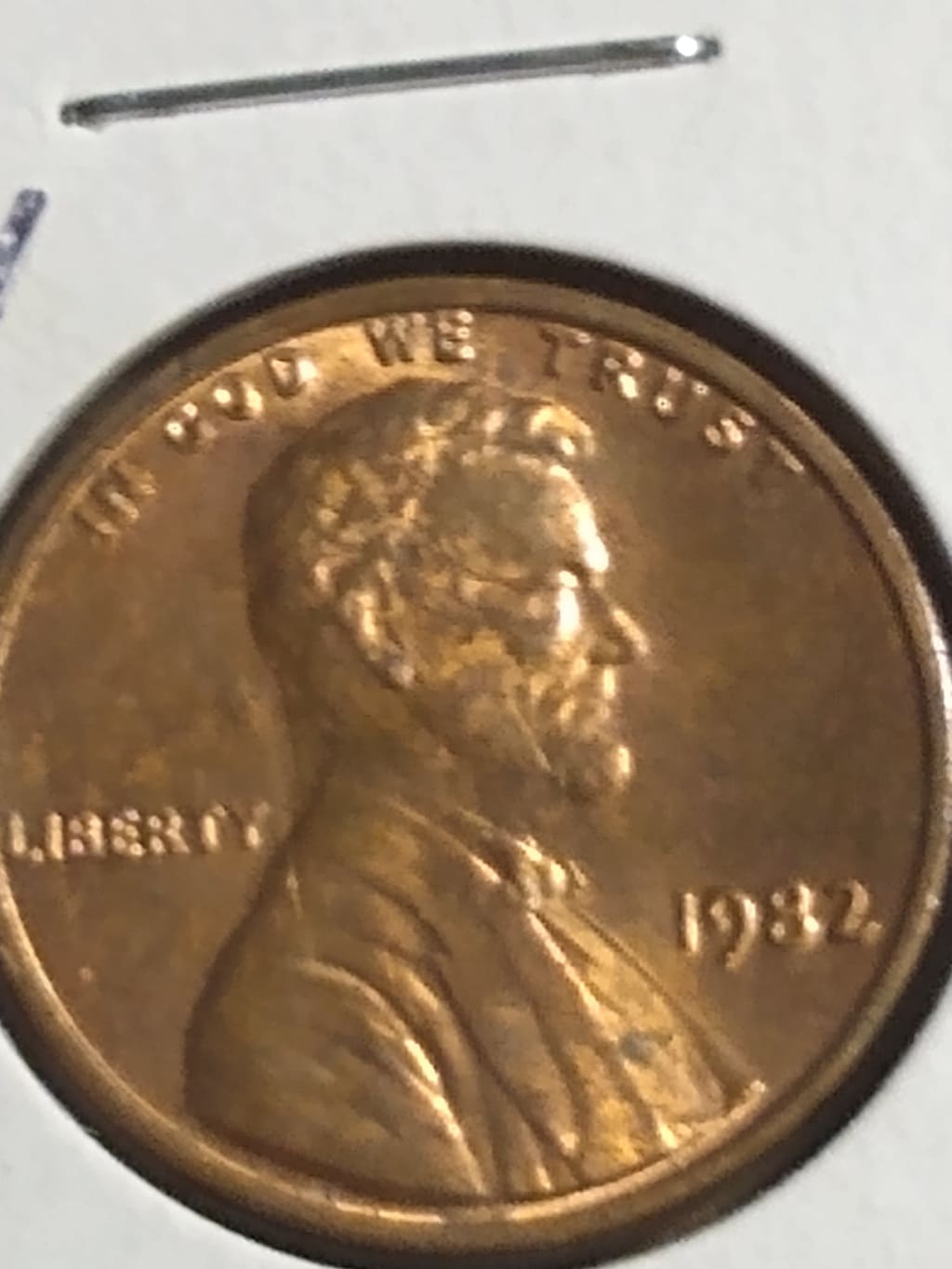 241896635_198427988906699_6644436085788165822_n.jpg