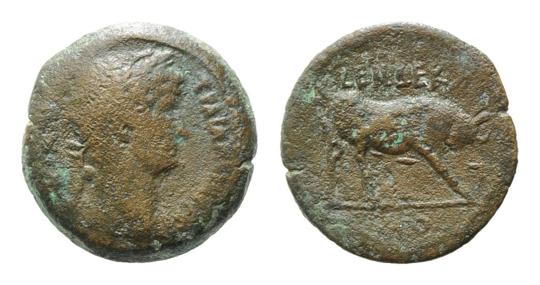243 P Hadrian .Emmett1116.11 .jpg
