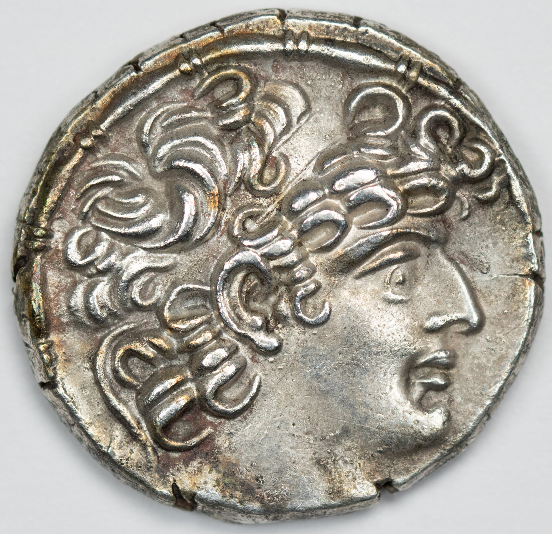 2431859_philippus_a.jpg