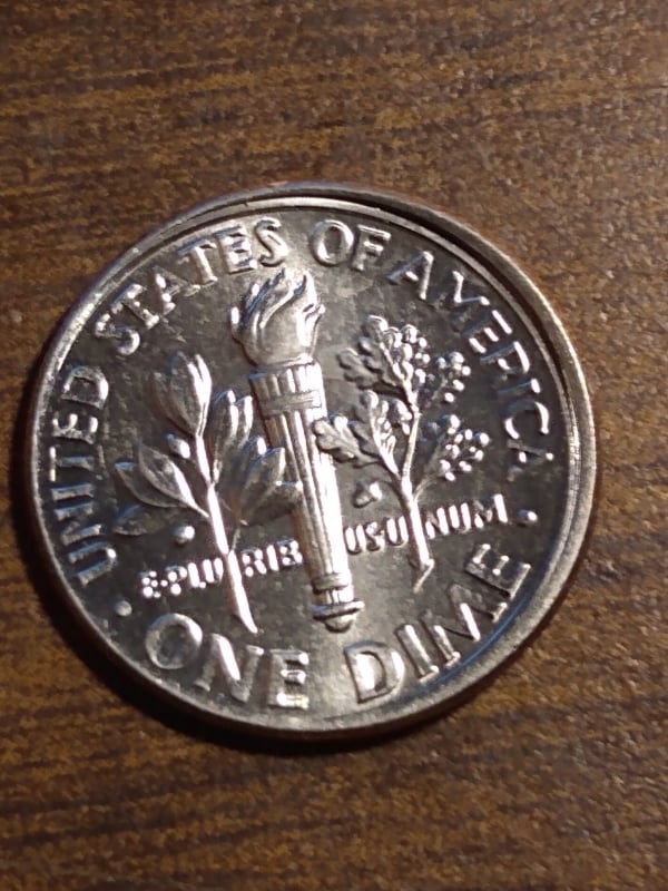 243661891_595533001574335_5398131412779146461_n.jpg