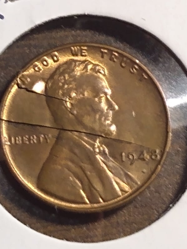 244495974_410509340669434_5282311567238983544_n.jpg