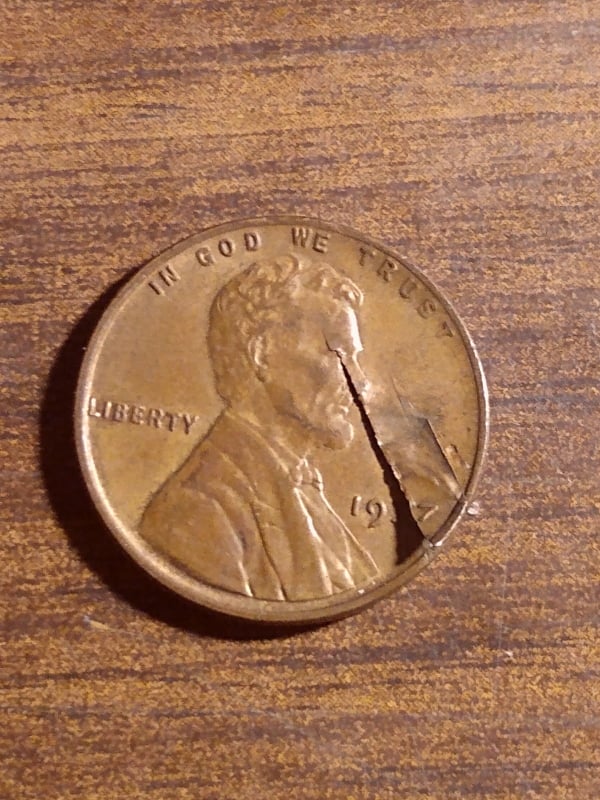 246761681_552710915792733_2381037620820893823_n.jpg