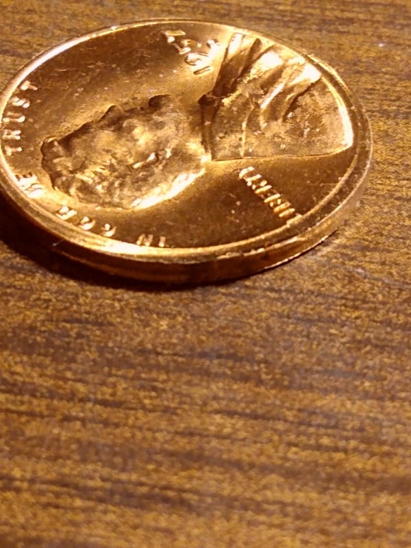 249211267_641410473686089_237715222922374641_n.jpg