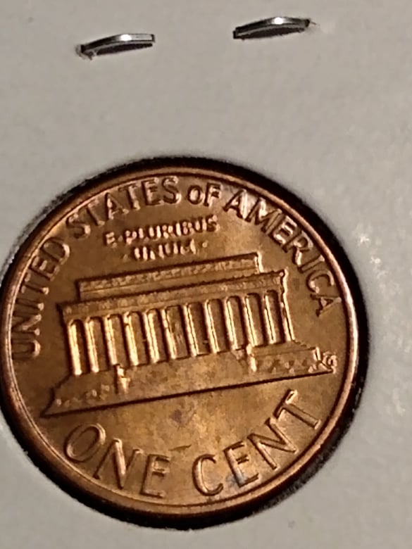 251825326_1812834262246712_1020870595788951715_n.jpg