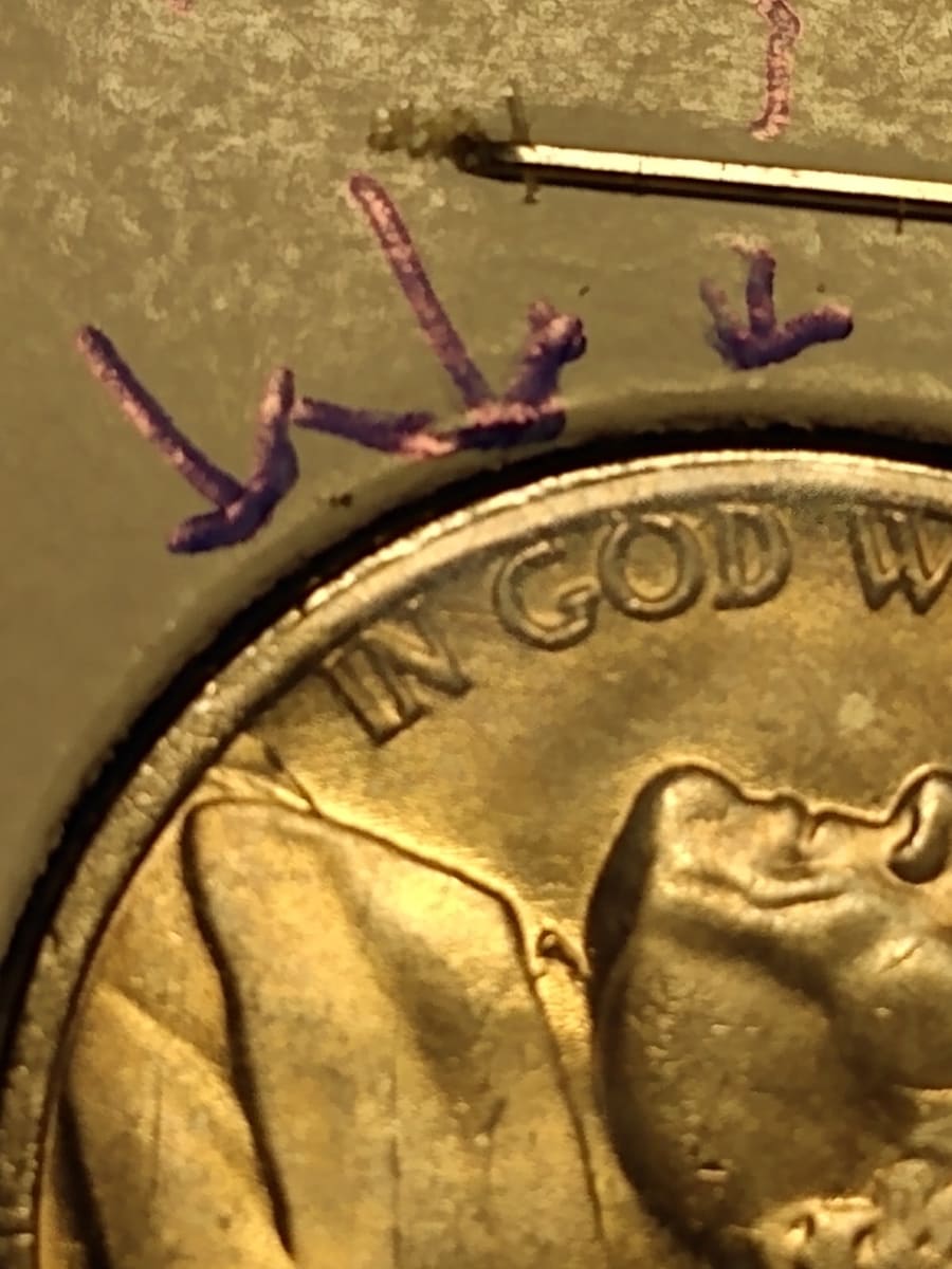 251978920_401656594997963_2734248860964131279_n.jpg