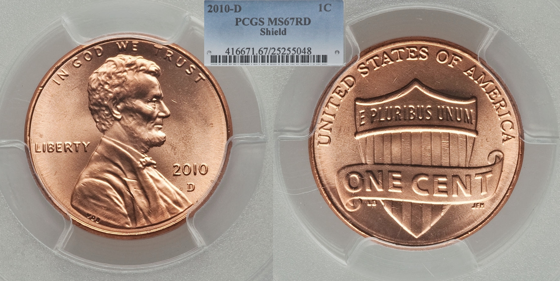 25255048.jpg