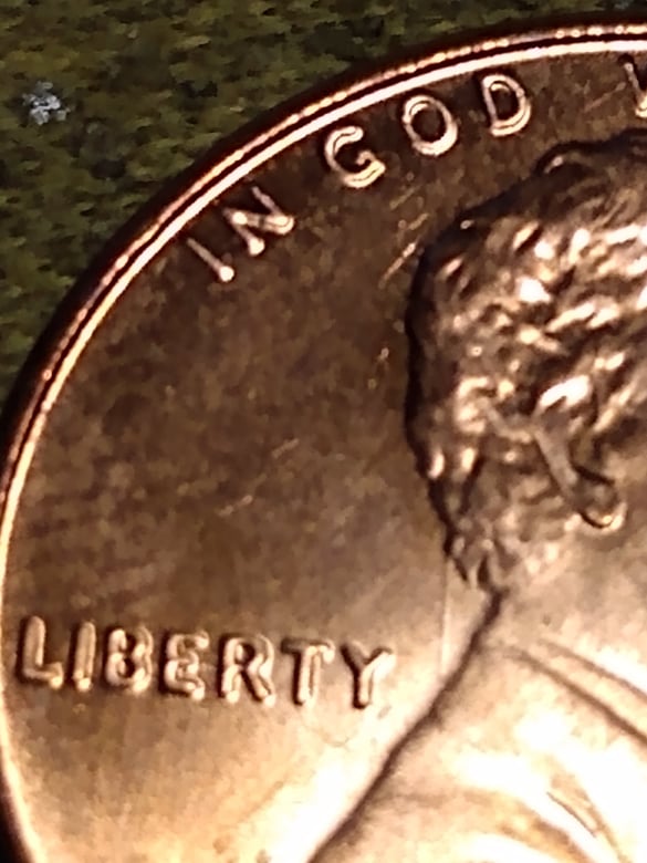 252837186_644115313666189_2733322134283249258_n.jpg