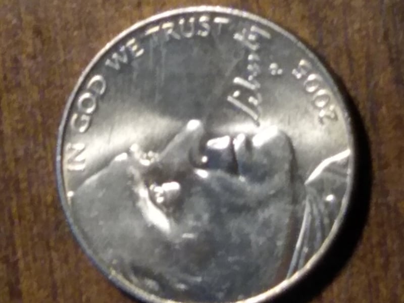 252966944_625963515308073_5523000531256265832_n.jpg