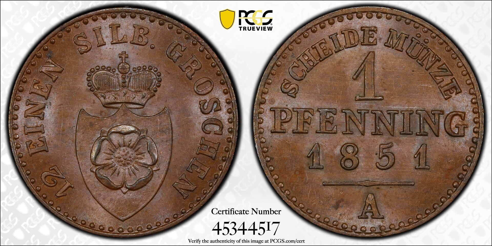 253590374.jpg