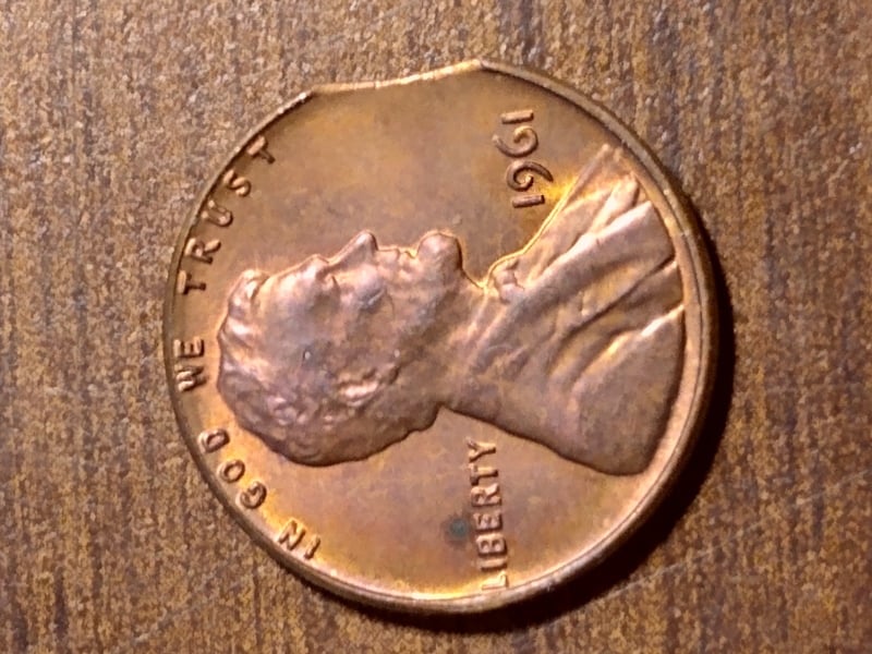 254130011_2966683556904891_7969473942350959742_n.jpg