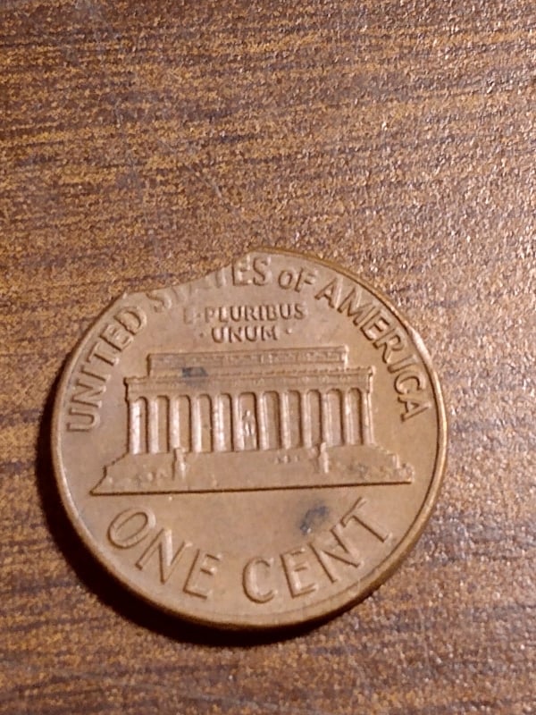 254133257_452629636193820_1938508120599633950_n.jpg