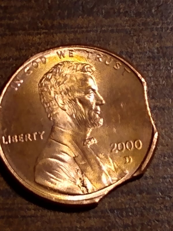 254670104_1224605151400397_6188912758749305933_n.jpg