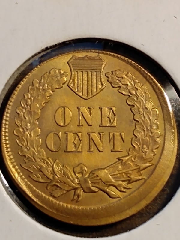 254997157_348235487071918_4470625898025956508_n.jpg