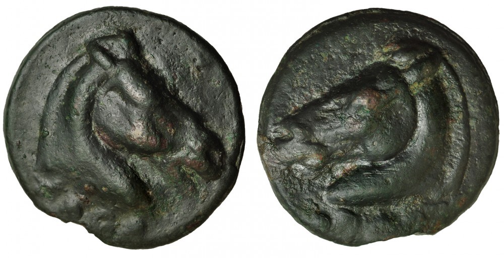 2550152l.jpg
