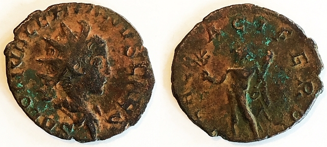 2551 Saloninus e co.jpg