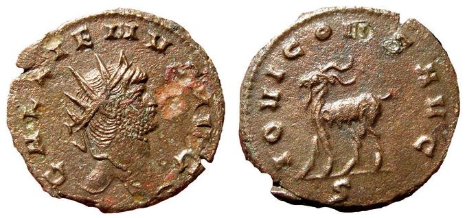 2555 Gallienus stag.jpg