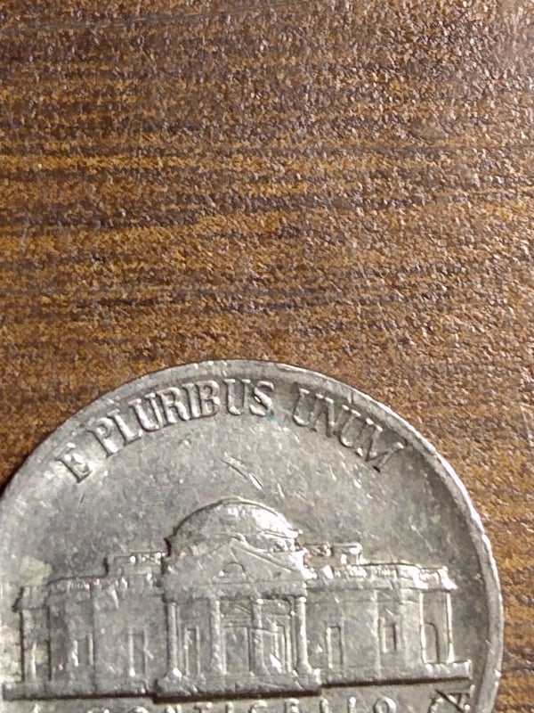 255518563_4680055215350529_8437425289849753640_n.jpg