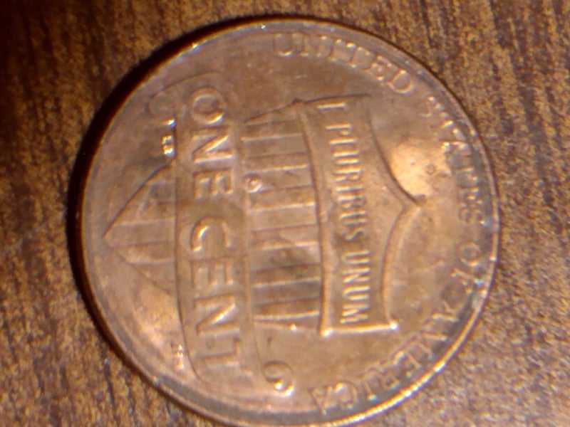 255584966_183994170602107_2136153916761025696_n.jpg