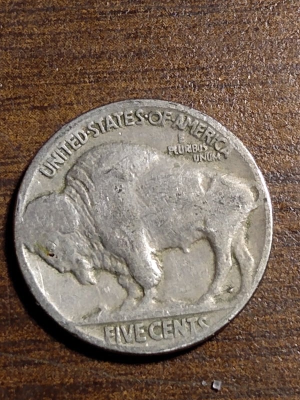 255743724_442529937495325_3041086316521582568_n.jpg