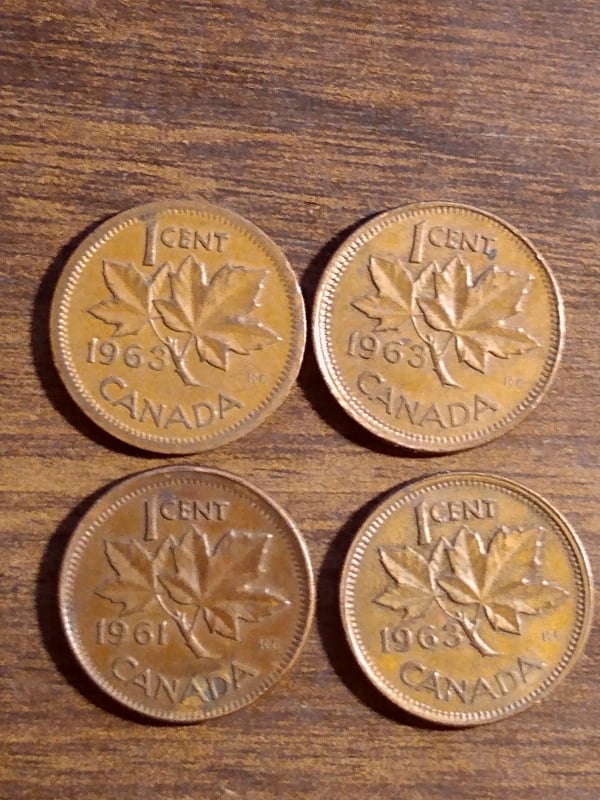 255915738_629304808200697_3257080095174539931_n.jpg