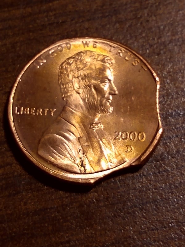 255918378_264005382221129_5524129546966667276_n.jpg