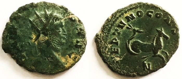 2560 Hippocamp ct.jpg