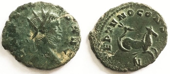 2560 Hippocamp ct.jpg