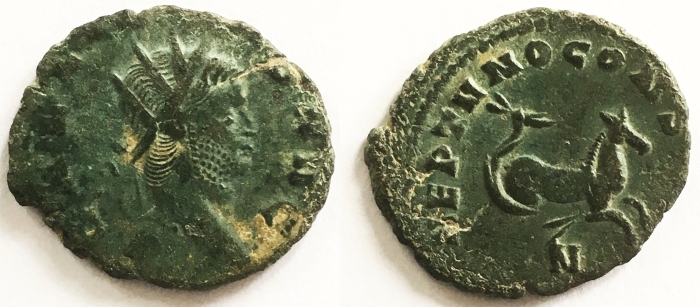 2560 Hippocamp ct.jpg