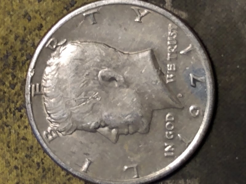 256177664_266762718742951_911869308850937654_n.jpg