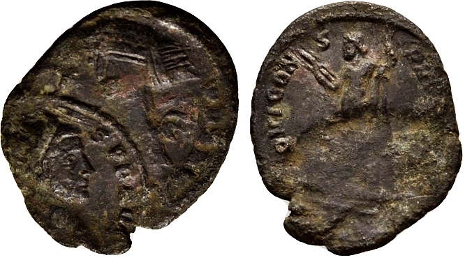 2564 Probus misslag ct.jpg