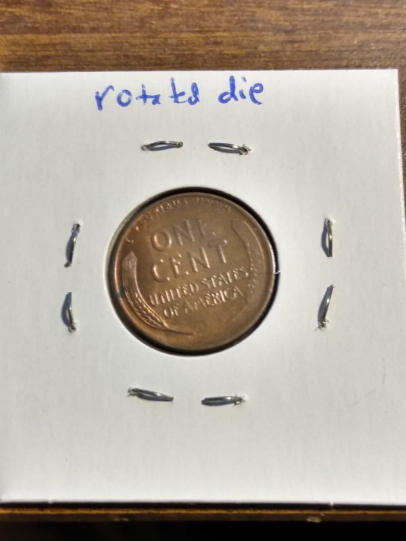 256409967_483895156205135_8330167276700798423_n.jpg