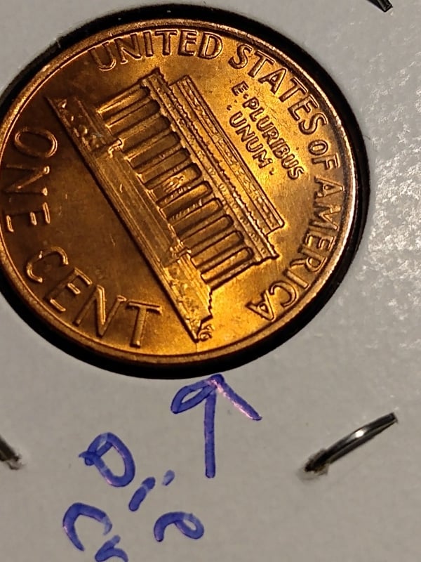 256523337_413401156988242_222142108806051284_n.jpg