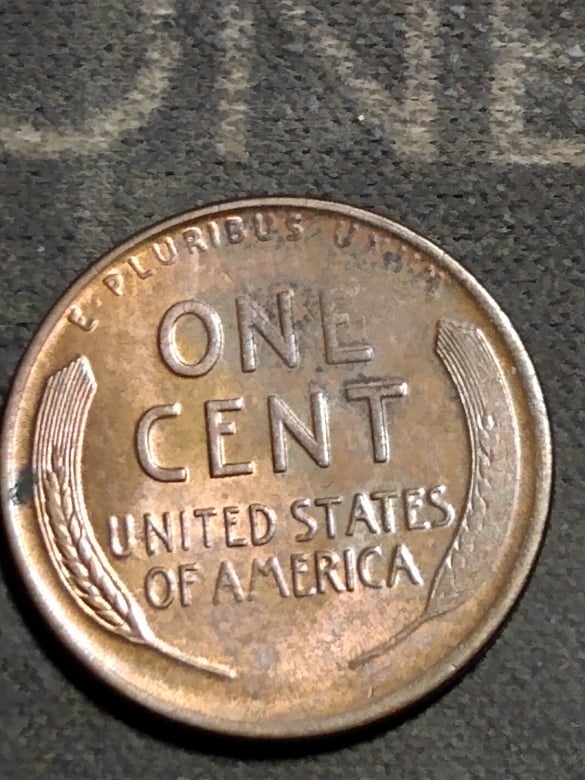 257213827_920613231892898_1722226565592003846_n.jpg