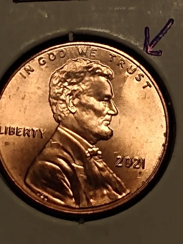 257864702_883874939159379_3441283961805299572_n.jpg