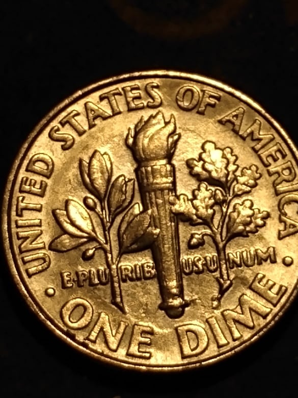 258244961_367554451814213_8844040425878049300_n.jpg