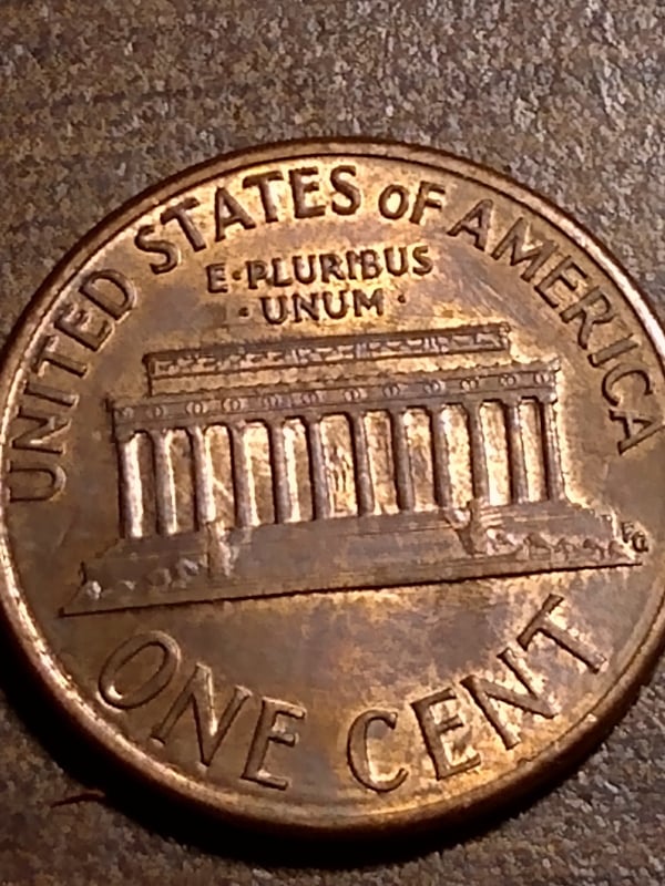 258689803_408890147566193_5776091025129811782_n.jpg