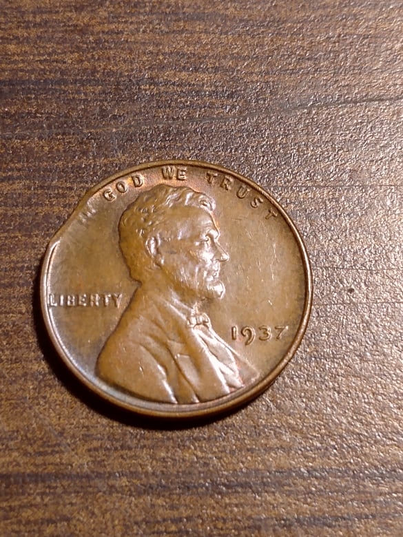 258753083_481985489781768_5764019238056345513_n.jpg