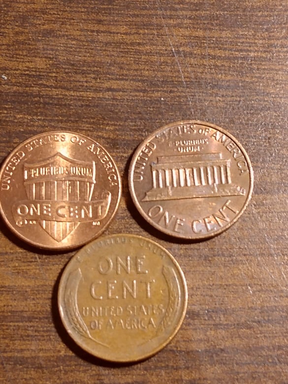 258867361_4497561060292068_6564735196761000788_n.jpg