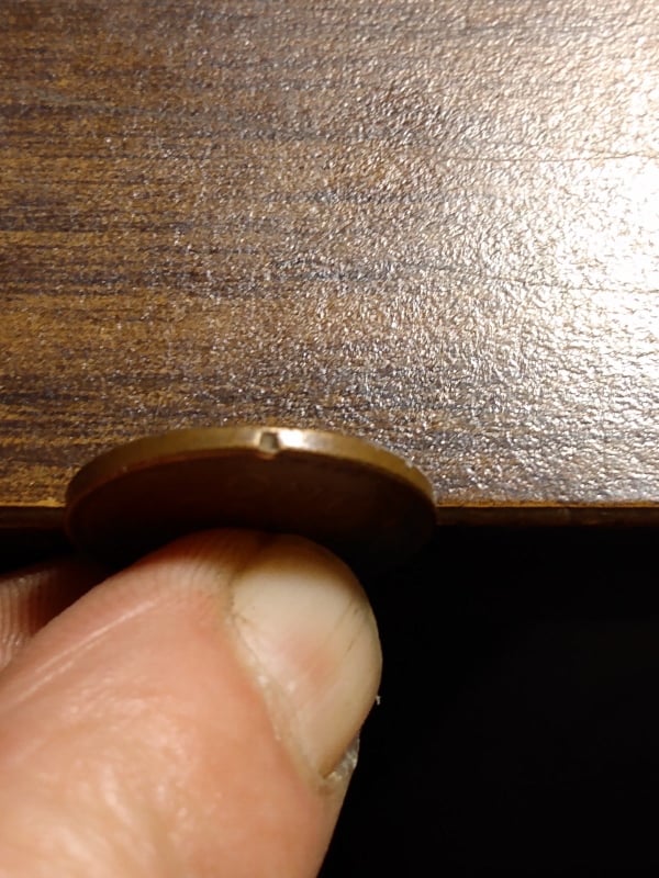 258871339_497079741402743_6419472967117256699_n.jpg