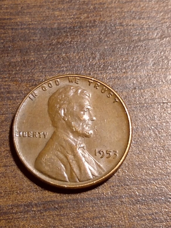 259115255_311785927430653_8519292760577033716_n.jpg